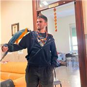 Offro lezioni per bambini della scuola elementare, prevalentemente matematica, inglese e geografia, ovviamente tutto riadattabile